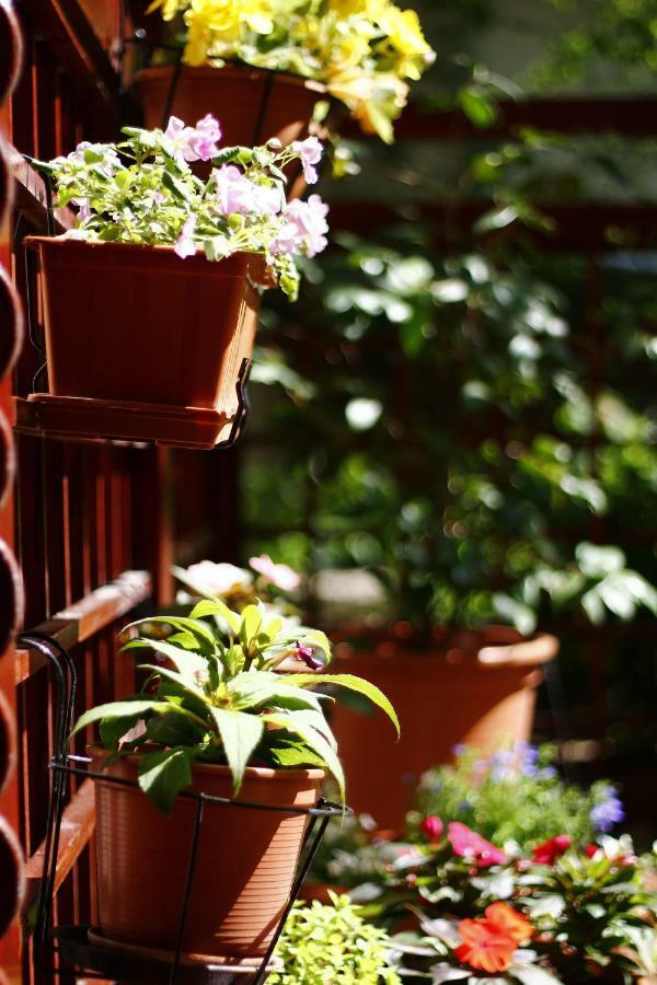 Downtown Garden Isle In Urban Style-free Parking *