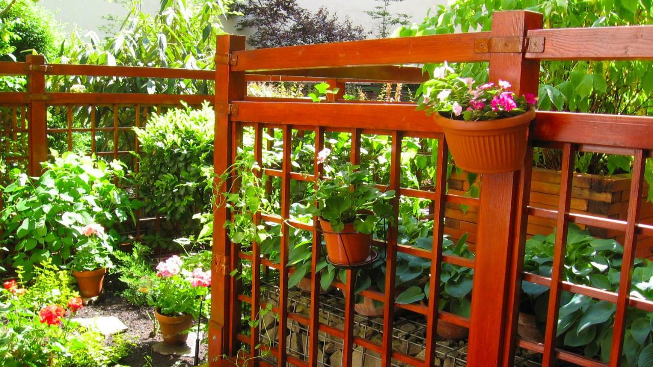 Downtown Garden Isle In Urban Style-free Parking *